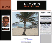 Tablet Screenshot of lloyd-team.com
